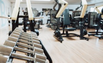 BUDGET Fitness Frick Industrie: Stimmungsbild mit perfekt aufgeräumten Kurzhanteln und beliebte Plate-Loaded-Kraftgeräten von Technogym in lichtdurchflutendem Trainingsraum.