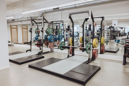 Ein modern ausgestatteter Trainingsbereich im Budget Fitness Niederlenz
