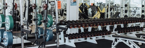 BUDGET Fitness Birrhard: Power Rack von Eleiko und Kurzhanteln