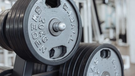 BUDGET Fitness Birrhard: Stimmungsbild mit perfekt aufgeräumten Gewichtsscheiben